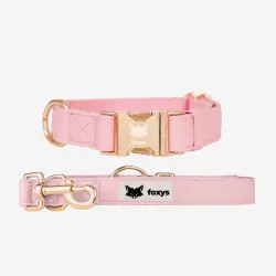 CityFox Kit Collar y Correa | Rosa