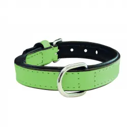 Collar Gloria Pets De Piel Acolchado Color Verde Para Perros 35cm x 15mm