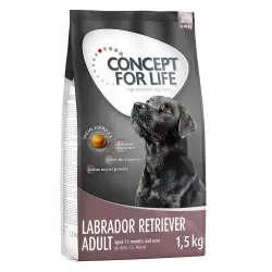 Concept for Life Labrador Retriever Adult - 1,5 kg