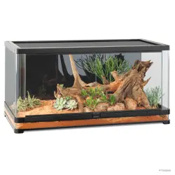 Exo Terra Vista 90 - Terrario Panorámico 90x45x45cm - 90x45x45 cm