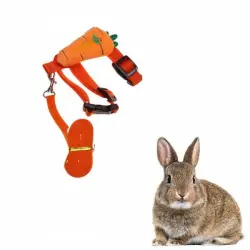 IntiMeg Arnés y correa para animales pequeños - Zanahoria naranja