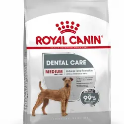 Royal Canin Medium Dental Care 10 KG