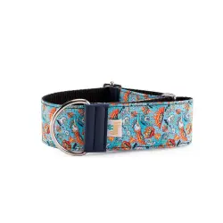 Collar Galgo Speedy Regulable Comic Acme