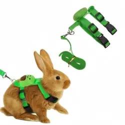 IntiMeg Arnés y correa para animales pequeños - Aguacate verde