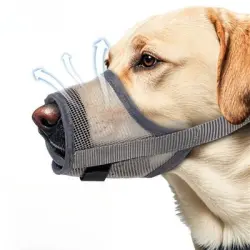 IntiMeg Protector bucal para perros fabricado con material duradero - L