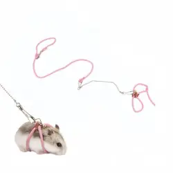 FurryFusion Correa para animales pequeños - Rosa
