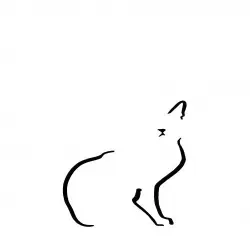 Ilustración de Gato doméstico A4 sin marco color Blanco