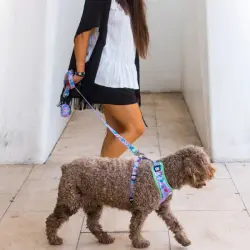 Dukier Correa Estampado Alien para perros - L