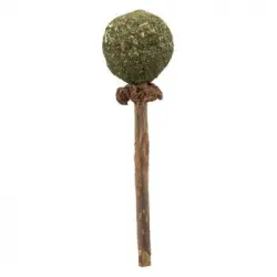 Trixie Piruleta Matatabi, 11 Cm