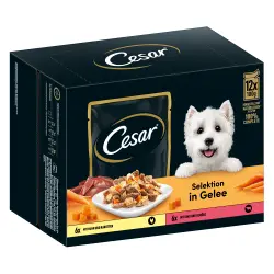 Cesar 48 x 100 g comida húmeda para perros en oferta: 40 + 8 ¡gratis! - Selección Carne con verduras en gelatina