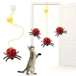 IntiMeg  colgante para gatos - Escarabajo