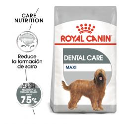 Royal Canin Dental Care Maxi pienso para perros