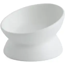 UAMLY Comedero de cerámica elevado e inclinado para gatos - Blanco