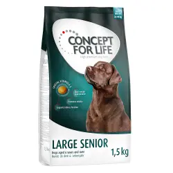 Concept for Life Large Senior - 1,5 kg