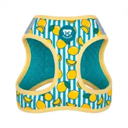 Dukier Arnés para Perros Body Lemons, XS