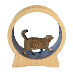 Rueda de ejercicio Kerbl Pet para gatos - 90 cm de diámetro