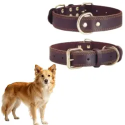 MCBOSON Collar para perro personalizado de cuero genuino marrón talla XS - 1 artículo