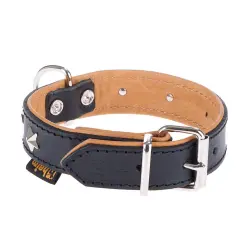 Collar de cuero Heim Stars para perros - Talla 40: 26 -37cm perím. de cuello