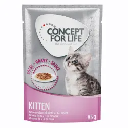 Concept for Life comida húmeda para gatos 24 x 85 g ¡con descuento! - Kitten en salsa     