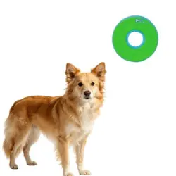 MCBOSON Frisbee flotante deslizante verde para perros, talla M - 1 artículo