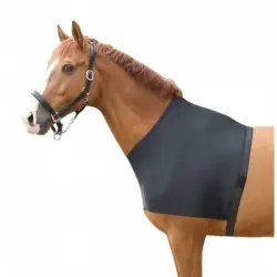 ZooVenture Protector elástico de hombro para caballos - 1 pieza