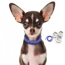 FurryFusion Collar antipulgas y antigarrapatas - 38 cm