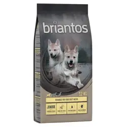 Briantos Junior Pollo y patata - SIN CEREALES - 12 kg