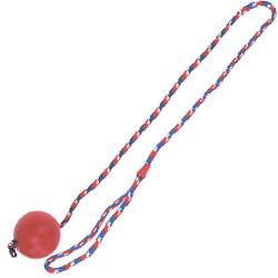 Flamingo Pelota con cuerda para perros