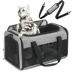 IntiMeg Bolsa transportadora para gatos. Apta para viajes en avión - Una pieza
