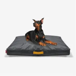 IntiMeg Cojín de sofá Oxford para perros - L: 91*69*7,5 cm