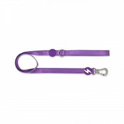 Dashi correa de nylon púrpura para perros
