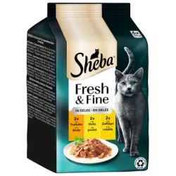 Sheba Fresh & Fine 6 x 50 g comida húmeda para gatos - Pavo, pollo y ave en gelatina