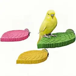 ZooVenture Muela abrasiva para percha de loro - 3 piezas