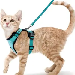 FurryFusion Arnés de tracción para gatos - Artículo 1