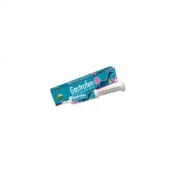 GASTROFREN 80 ml