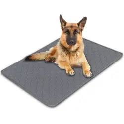 Qinhul Almohadillas absorbentes lavables y reutilizables para perros - XL, 70x50cm