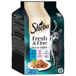 Sheba Fresh & Fine 6 x 50 g comida húmeda para gatos - Atún, salmón y pescado blanco en gelatina