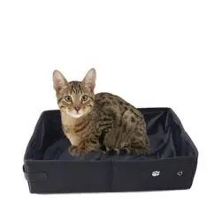 ZooVenture Arenero plegable y portátil para gatos - negro