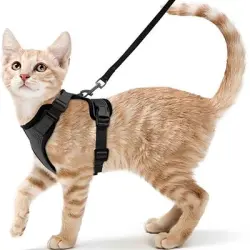 FurryFusion Arnés de tracción para gatos - Artículo 1