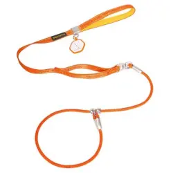 FurryFusion Correa para pasear perros con collar integrado - Artículo 1