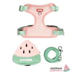 HausPets Arnés con mochila para cachorros pequeños - Artículo 1