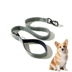 ZooVenture Correa para perros de tamaño mediano y grande - Verde