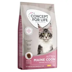 Concept for Life Maine Coon Kitten - Receta mejorada - NUEVO: 10 kg