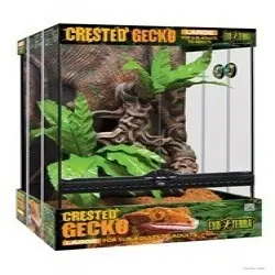 Exo Terra E. T Kit Terrario Cresta Gecko 30x30x45 cm