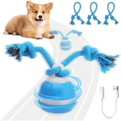 HausPets Bola eléctrica con rodamiento automático – Recargable - Eléctrico