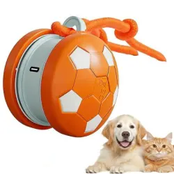 Pawffee Pelota de juguete interactiva para gatos y perros - azul - Naranja