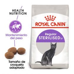 Royal Canin Regular Sterilised 37 pienso para gatos