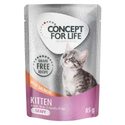 Concept for Life Kitten sin cereales con salmón en salsa - 24 x 85 g
