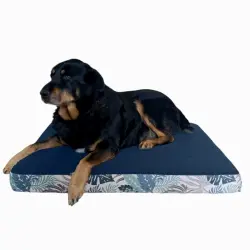 MAXTIN Cama Lulu Azul para perros - 110 x 75 x 10 cm