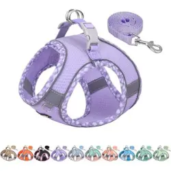 HausPets Arnés antitirones morado para cachorros/gatos, talla XS - 1 artículo